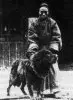 Tibetan Mastiff man.jpg