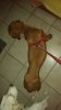 20150530_175123.jpg