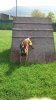 FB_IMG_1463334802200.jpg