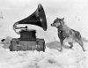 dog-chris-listening-to-the-gramophone-antarcticae2809d-by-herbert-ponting-1911.jpg