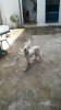 20160524_122048.jpg