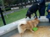 DSC01042..jpg