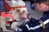 rescue dog1..jpg