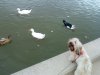 DSC01080..JPG