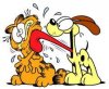 odie..jpg