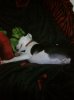 IMG00003-20101023-2&.jpg