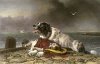 220px-Landseer_Sa&#1.jpg