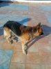 geros_021110..jpg