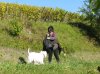 wandelen (2)..jpg
