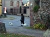 wandelen (6)..jpg