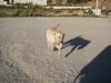 IMG_1673..jpg IMG_1673..jpg