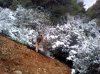 150519_168350527995&.jpg