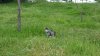 20160601_082822.jpg