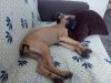 IMG_20160602_115500.jpg