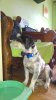 20160601_121827.jpg