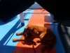 20160611_150135.jpg