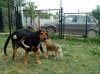 IMG_20160530_142510.jpg