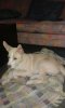 IMG-20160606-WA0002.jpg