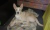 IMG-20160606-WA0001.jpg