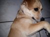20150329_225228.jpg 20150329_225228.jpg
