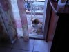 DSCN1327.JPG