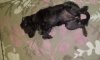 IMG_20160809_180343.jpg