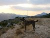 DSC05648.JPG