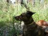 DSC05775.JPG