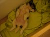 DSC08349.JPG DSC08349.JPG