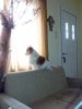 IMG_20160629_144355_6.jpg