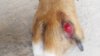 20160824_161804.jpg