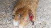 20160824_161759.jpg
