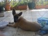 DSC00053.jpg