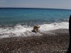 Ήρα θάλασσα2.JPG