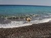 Ήρα θάλασσα3.JPG