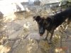 DSC03306.JPG