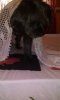 IMG_20160908_124913.jpg
