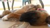 20160708_115903.jpg 20160708_115903.jpg
