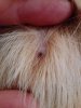 IMG_20161013_230941.jpg