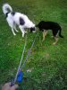 IMG_20161030_141845.jpg