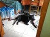 IMG_20160730_123011.jpg