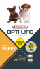 mini_puppy.png