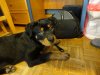 DSC00006.JPG