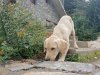 20161030_112025.jpg