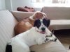 20160620_105157.jpg