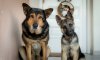 DSC_1410-2.jpg