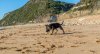 DSC_1434.jpg