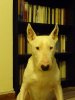 DSC01449.JPG
