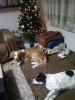20170104_205210.jpg