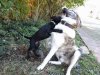 IMG_20161031_103542.jpg